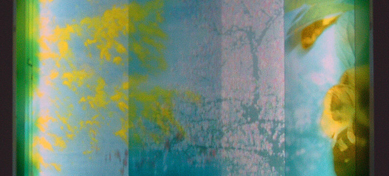 Hortus Conclusus #2