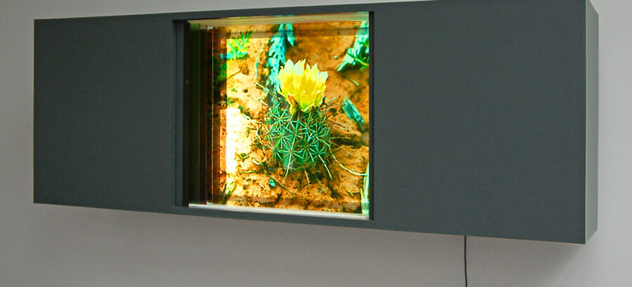 Hortus Conclusus #1