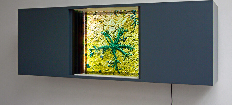 Hortus Conclusus #1